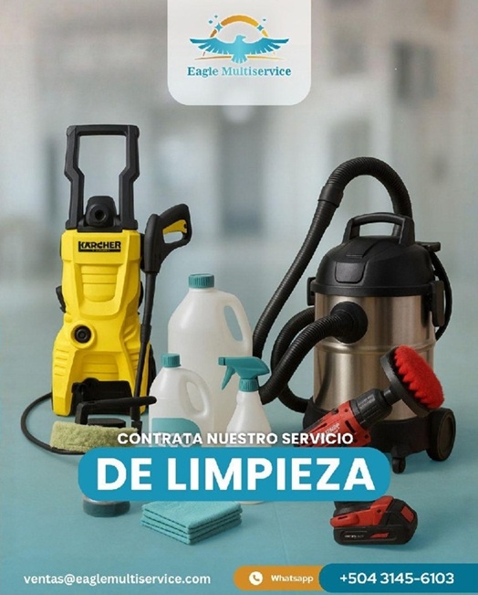 Equipo profesional de limpieza