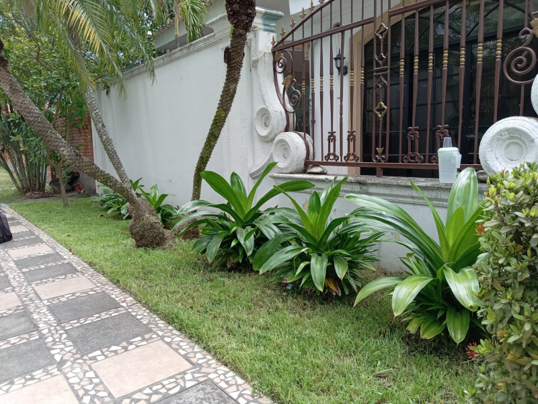 Jardinería profesional